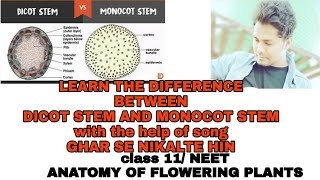 TRICKS to learn easily the difference between DICOT STEM AND MONOCOT STEMCLASS 11NEET [upl. by Ddarb]