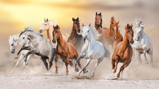 Horses running faster  Horse running sound effect [upl. by Dragde]