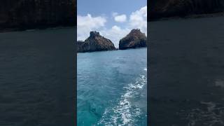 Fernando de Noronha [upl. by Ecarret]