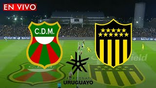 DEPORTIVO MALDONADO VS PEÑAROL EN VIVO [upl. by Atenik752]