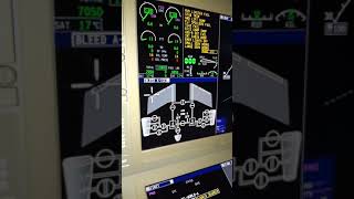 Bombardier GLOBAL EXPRESS 6000 power up [upl. by Nosnibor]