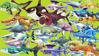 Hungry Shark Evolution Ep 4  Surf Sharks [upl. by Dwan]