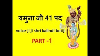 यमुना जी 41 पद  voice by Ji Ji ShriKalindi Betiji  PART1 [upl. by Reine61]