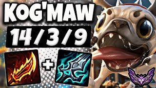 KogMaw vs Kalista  ADC  Lol Korea Master Patch 1410 ✅ [upl. by Henderson]