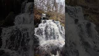 Birks of Aberfeldy After Storm Ashley waterfall scotland nature [upl. by Groveman]