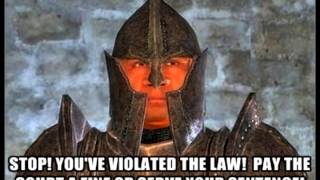 Oblivion Stop you violated the law [upl. by Yonatan]