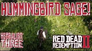 Hummingbird Sage Locations Red Dead Redemption 2 [upl. by Kieffer413]