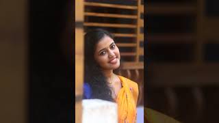 Pinneyum Pinneyum  Cover  Krishnagudiyil Oru Pranayakalath  പിന്നെയും പിന്നെയും [upl. by Mcarthur]