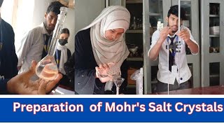 A Puntastic Chemical Reaction Turning Ferrous Sulfate into Mohrs Salt [upl. by Sussna]