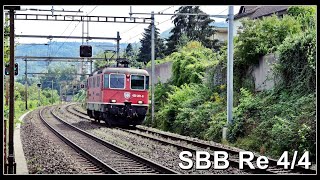 Zwei SBB Re 44 bei Neuenhof  Kanton Aargau  Schweiz 2024 [upl. by Salkcin]