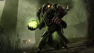 CATA True Duo Vermintide 2  Fort Brachsenbrucke [upl. by Rhines]