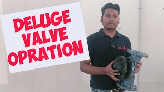 DELUGE VALVE KAISE KAM KARTA HAI  HOW DOES WORK DELUGE VALVE [upl. by Anauj62]