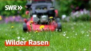 Rasen mähen oder wachsen lassen Rasenpflege contra Artenvielfalt  Zur Sache RLP [upl. by Zared]