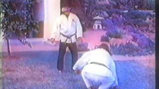 hanshi Tadashi Yamashitapart 5 of 10Suikendo Shorin Ryu Karate [upl. by O'Neil]