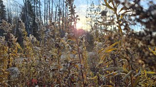 October 18th 19th amp 20th Images of the northwoods of wisconsin weekly photo video of camping 27 [upl. by Sexela672]