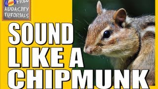 Sound like a chipmunk  change your voice higher or lower using Audacity  free tutorial [upl. by Poock]