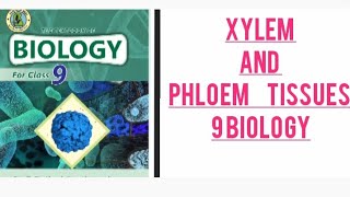 Compound tissue Xylem Vessel and tracheids  Phloem tissues Sieve tubes and Companion cells [upl. by Esilehs]