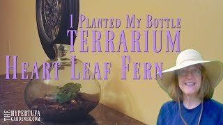 My Bottle Terrarium  Planting It With Heart Leaf Fern [upl. by Hgielac]