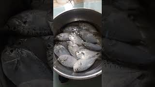 Sapsap food momskie shortvideo trending [upl. by Sy910]