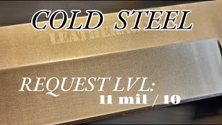 A HIGHLY REQUESTED COLD STEEL HARDNESS TEST [upl. by Aztirak]