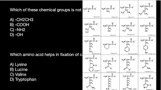 Hydrophobic and Hydrophilic Amino Acids [upl. by Ayatal584]