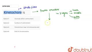 Kinetochore is [upl. by Ahtanamas370]