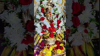 Swamiye sharanam Ayyappan 🙏🕉️trending viralvideo ytshorts new ayyapan 2024 malappuram videos [upl. by Atiugram]