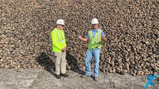 2021 Sugar Beet Harvest Update [upl. by Sices]