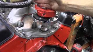 How to Install A distributor in a 350 Chevy [upl. by Hurwitz]