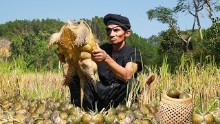 Mutant Life Primitive  Giant turtle discovered while catching snails to feed ducks in the field [upl. by Sephira]