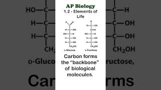 AP Bio 12  Carbon apbiology biochemistry [upl. by Arim909]