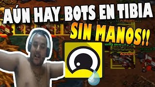 AÚN HAY BOTS EN TIBIA ☹️ [upl. by Davie]