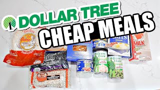 DOLLAR TREE GROCERY SHOP amp HAUL  Dollar Tree Budget Meal Plan  Extreme Grocery Haul [upl. by Waltner]