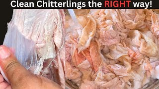 How to clean CHITLINS aka CHITTERLINGS  Tanny Cooks  SoulFood [upl. by Diogenes]