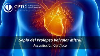 Soplo del Prolapso Valvular Mitral [upl. by Imrots]