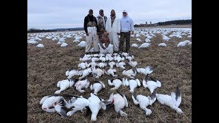 Snowgoose hunt upstate ny with frontier guide service [upl. by Aros]