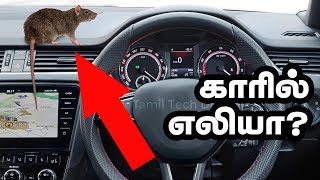 எலி கார் பக்கமே வரவிடாமல் ஓட ஓட விரட்டும் பொருள்கள் இதுதாங்க  Protect CAR from RATS [upl. by Mame]