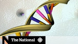 DNA sharing leads to privacy concerns [upl. by Schafer]