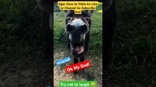 Try Not to Laugh Challenge 02 🤣funny shorts viral [upl. by Fiertz]