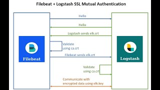 Elasticsearch 8 Security  Filebeat Logstash SSL Mutual Authentication Example [upl. by Henrique]