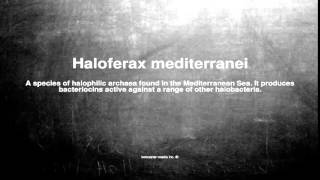 Medical vocabulary What does Haloferax mediterranei mean [upl. by Schulz]