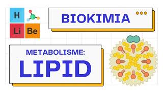 Metabolisme Makromolekul Lipid lipogenesislipolisis  Biokimia 101 [upl. by Ais963]