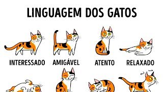 COMO ENTENDER MELHOR O SEU GATO [upl. by Cherilynn446]