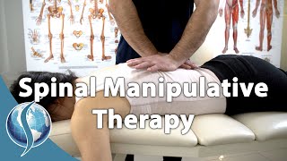 Does Spinal Manipulative Therapy Work for Lower Back Pain [upl. by Naenaj]