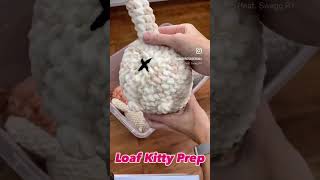 crochet crochetcat chubbycat kitty [upl. by Allemat]