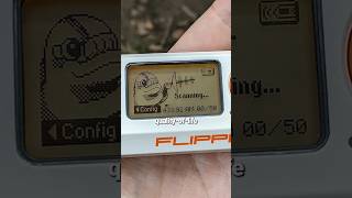 Flipper Zero New Firmware Update shorts [upl. by Susan606]