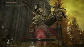 Level 1  Draconic Tree Sentinel Fight  No Hit and No DMG [upl. by Eelanna111]