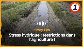 Stress hydrique  restrictions dans lagriculture [upl. by Lyrad]