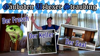 🏡 Lost Place 🐸 DER FROSCH ⏺ DER KELLER ⏺ DER SAAL  342 [upl. by Mersey]