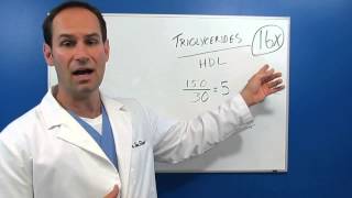 How to use Triglyceride Hdl ratio [upl. by Ednihek138]